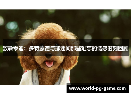 致敬泰迪：多特蒙德与球迷间那些难忘的情感时刻回顾