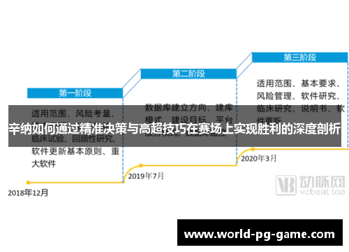 辛纳如何通过精准决策与高超技巧在赛场上实现胜利的深度剖析