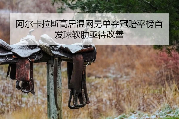 阿尔卡拉斯高居温网男单夺冠赔率榜首 发球软肋亟待改善