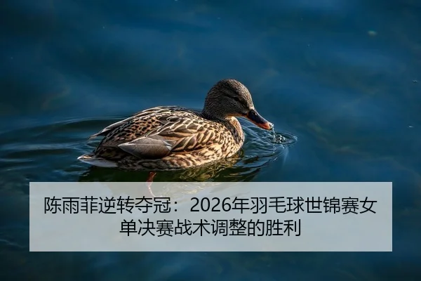 chen-yu-fei-ni-zhuan-duo-guan-nian-yu-mao-qiu-shi-jin-sai-nv-dan-jue-sai-zhan-shu-tiao-zheng-de-sheng-li-1-394.jpg